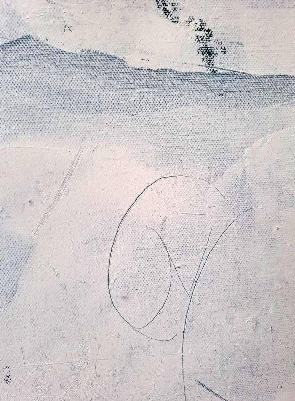 Le déshabillé de Vénus – Image 5