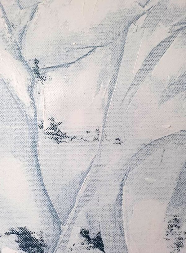 Le déshabillé de Vénus – Image 7