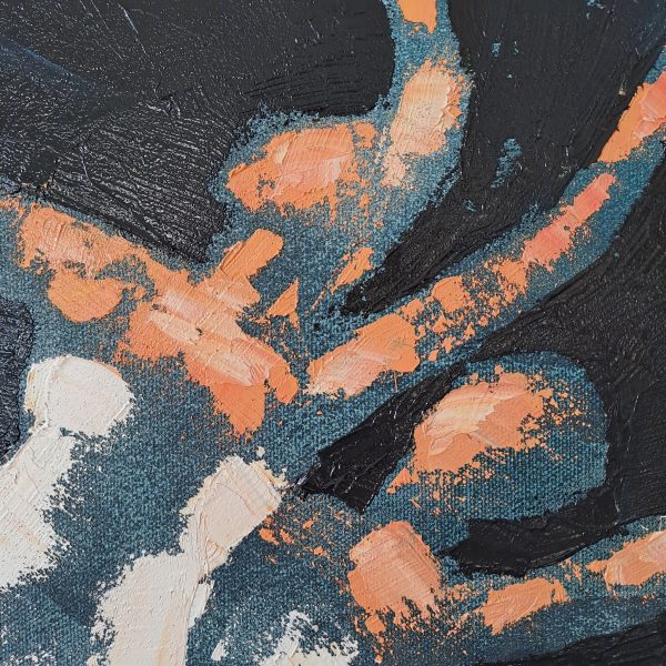 Le saut blanc – Image 3